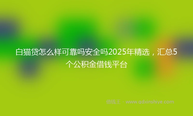 白猫贷怎么样可靠吗安全吗2025年精选，汇总5个公积金借钱平台