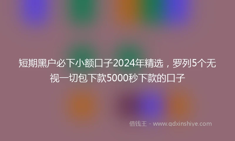短期黑户必下小额口子2024年精选，罗列5个无视一切包下款5000秒下款的口子