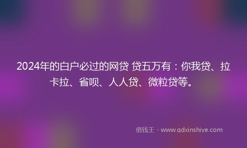 2024年的白户必过的网贷 贷五万有：你我贷、拉卡拉、省呗、人人贷、微粒贷等。