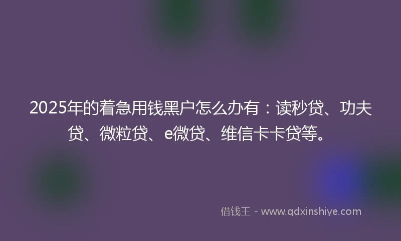 2025年的着急用钱黑户怎么办有：读秒贷、功夫贷、微粒贷、e微贷、维信卡卡贷等。