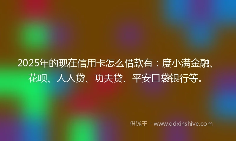 2025年的现在信用卡怎么借款有：度小满金融、花呗、人人贷、功夫贷、平安口袋银行等。