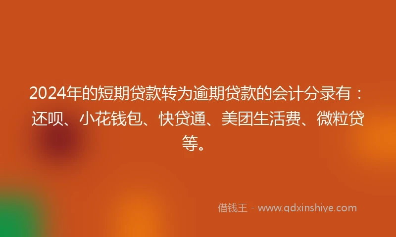 2024年的短期贷款转为逾期贷款的会计分录有：还呗、小花钱包、快贷通、美团生活费、微粒贷等。