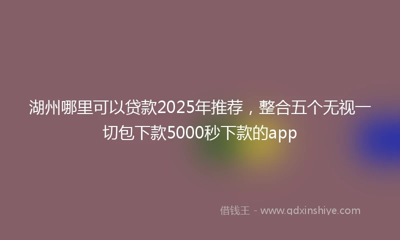 湖州哪里可以贷款2025年推荐，整合五个无视一切包下款5000秒下款的app