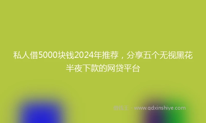 私人借5000块钱2024年推荐，分享五个无视黑花半夜下款的网贷平台