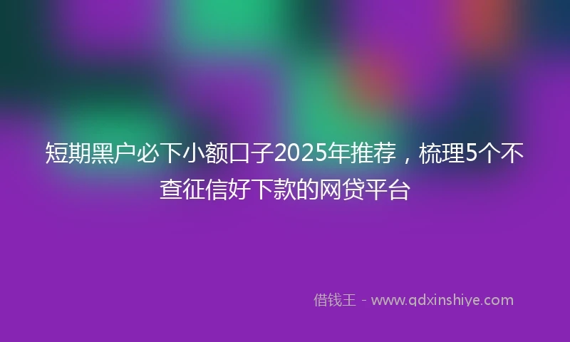 短期黑户必下小额口子2025年推荐，梳理5个不查征信好下款的网贷平台