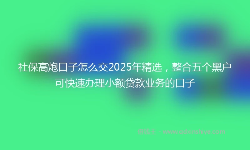 社保高炮口子怎么交2025年精选，整合五个黑户可快速办理小额贷款业务的口子