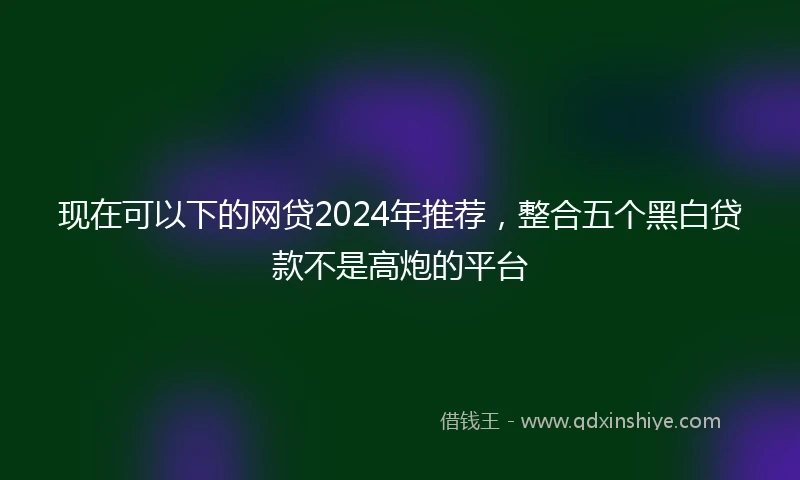 现在可以下的网贷2024年推荐，整合五个黑白贷款不是高炮的平台