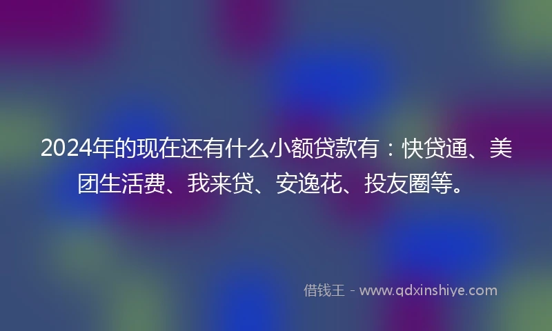 2024年的现在还有什么小额贷款有：快贷通、美团生活费、我来贷、安逸花、投友圈等。