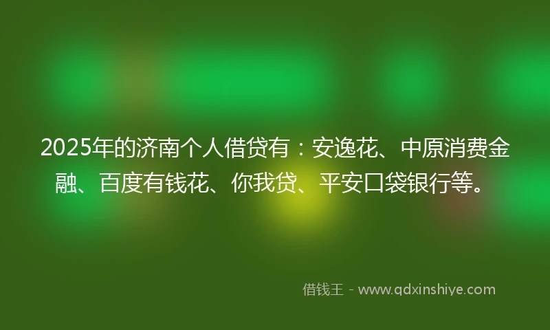 2025年的济南个人借贷有：安逸花、中原消费金融、百度有钱花、你我贷、平安口袋银行等。