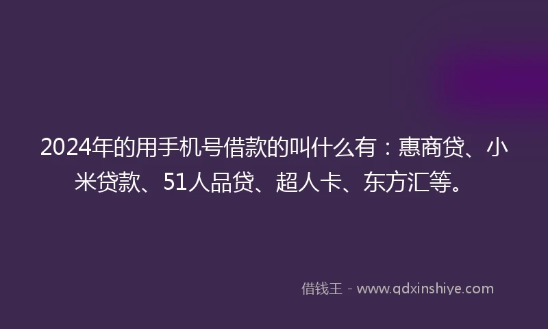 2024年的用手机号借款的叫什么有：惠商贷、小米贷款、51人品贷、超人卡、东方汇等。
