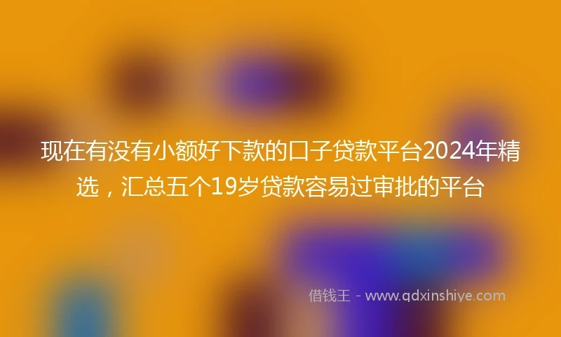 现在有没有小额好下款的口子贷款平台2024年精选，汇总五个19岁贷款容易过审批的平台
