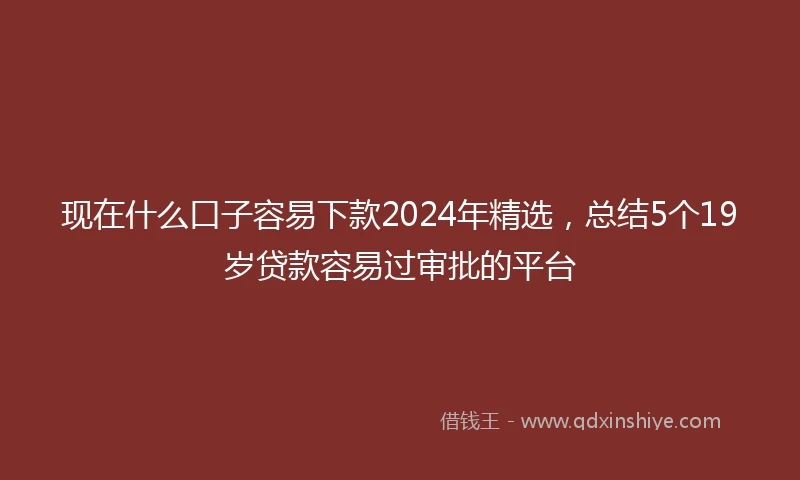 现在什么口子容易下款2024年精选，总结5个19岁贷款容易过审批的平台