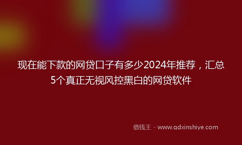 现在能下款的网贷口子有多少2024年推荐，汇总5个真正无视风控黑白的网贷软件