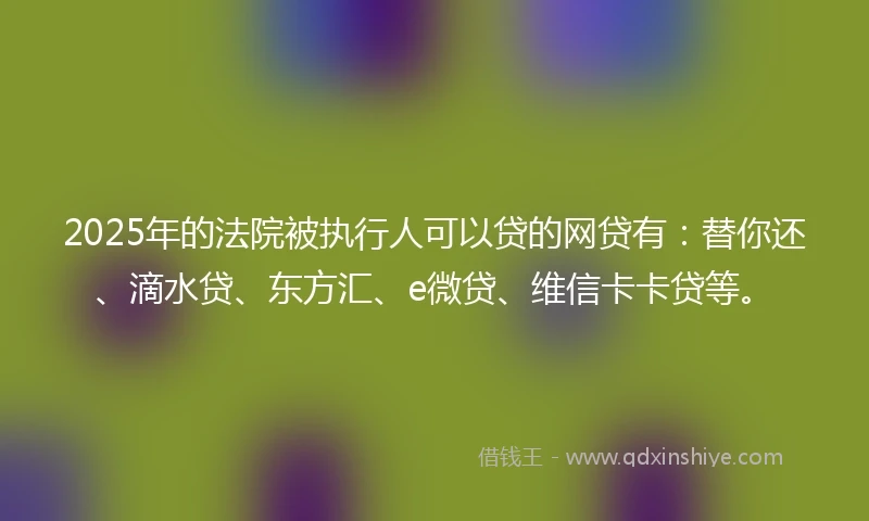 2025年的法院被执行人可以贷的网贷有：替你还、滴水贷、东方汇、e微贷、维信卡卡贷等。