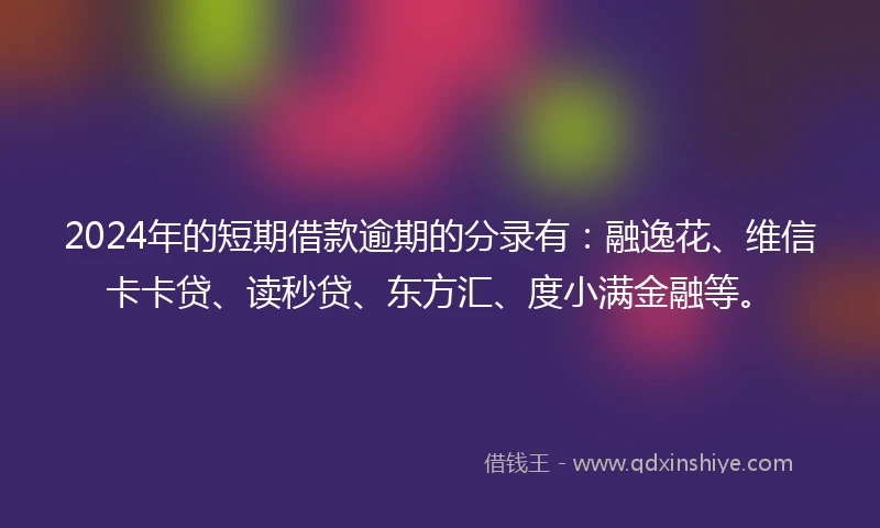 2024年的短期借款逾期的分录有：融逸花、维信卡卡贷、读秒贷、东方汇、度小满金融等。