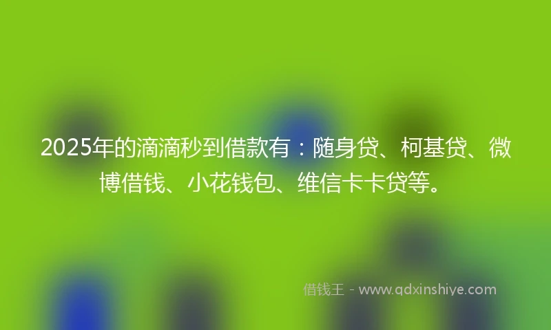 2025年的滴滴秒到借款有:随身贷、柯基贷、微博借钱、小花钱包、维信卡卡贷等。
