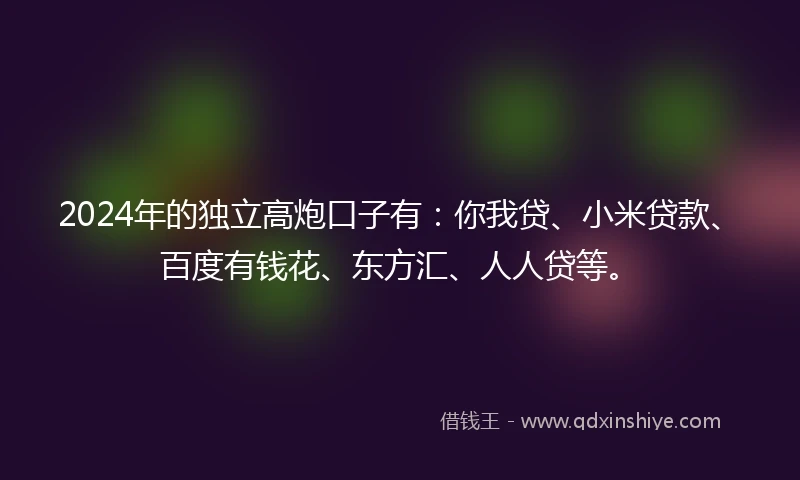 2024年的独立高炮口子有：你我贷、小米贷款、百度有钱花、东方汇、人人贷等。