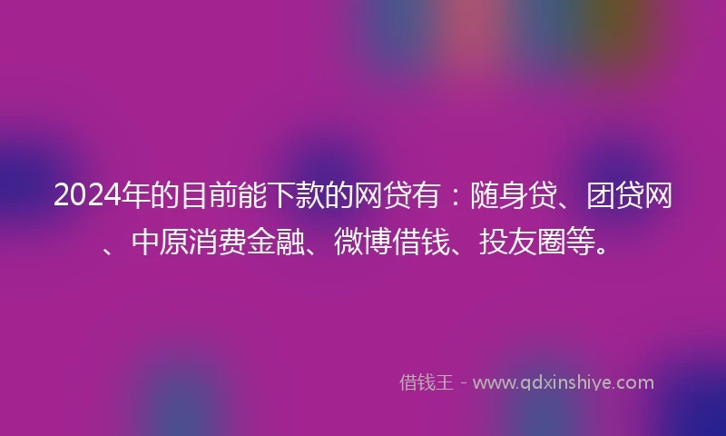 2024年的目前能下款的网贷有：随身贷、团贷网、中原消费金融、微博借钱、投友圈等。