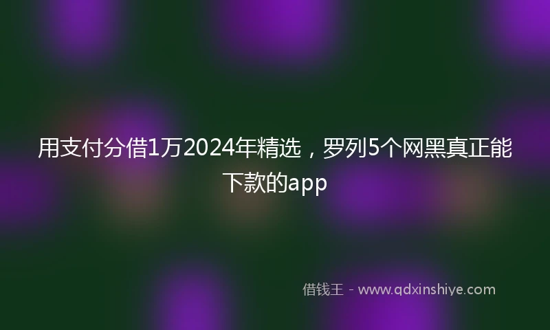 用支付分借1万2024年精选，罗列5个网黑真正能下款的app