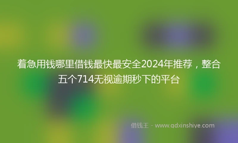 着急用钱哪里借钱最快最安全2024年推荐，整合五个714无视逾期秒下的平台