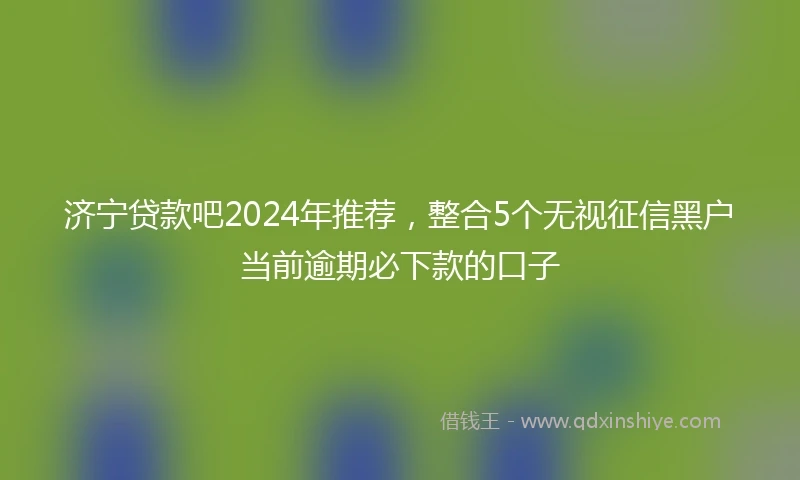 济宁贷款吧2024年推荐，整合5个无视征信黑户当前逾期必下款的口子