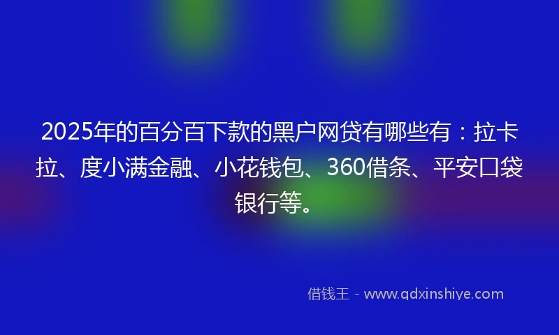 2025年的百分百下款的黑户网贷有哪些有：拉卡拉、度小满金融、小花钱包、360借条、平安口袋银行等。