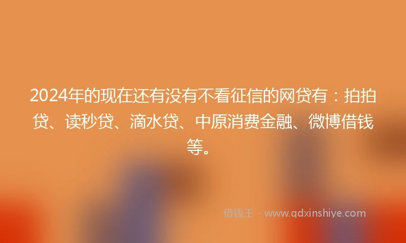 2024年的现在还有没有不看征信的网贷有：拍拍贷、读秒贷、滴水贷、中原消费金融、微博借钱等。