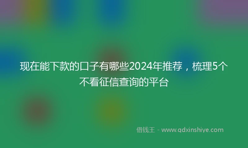 现在能下款的口子有哪些2024年推荐，梳理5个不看征信查询的平台