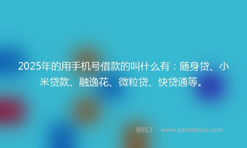 2025年的用手机号借款的叫什么有：随身贷、小米贷款、融逸花、微粒贷、快贷通等。