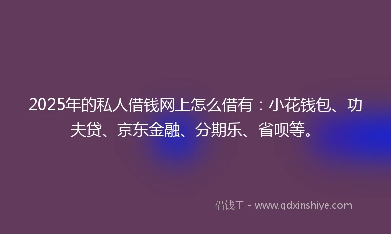2025年的私人借钱网上怎么借有：小花钱包、功夫贷、京东金融、分期乐、省呗等。