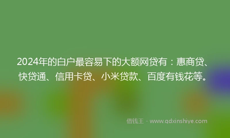 2024年的白户最容易下的大额网贷有：惠商贷、快贷通、信用卡贷、小米贷款、百度有钱花等。