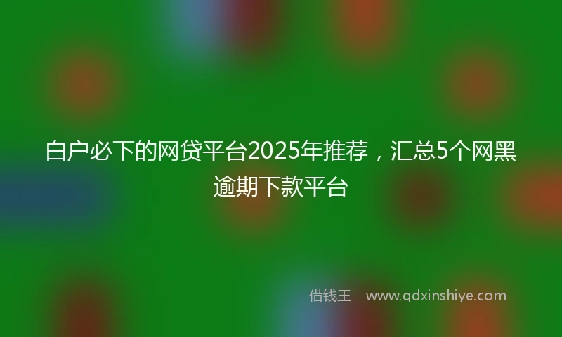 白户必下的网贷平台2025年推荐，汇总5个网黑逾期下款平台