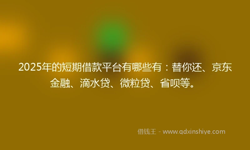 2025年的短期借款平台有哪些有：替你还、京东金融、滴水贷、微粒贷、省呗等。