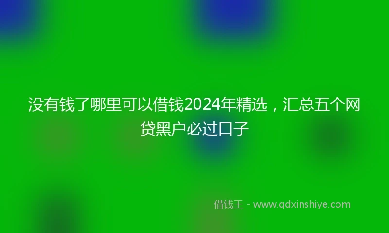 没有钱了哪里可以借钱2024年精选，汇总五个网贷黑户必过口子