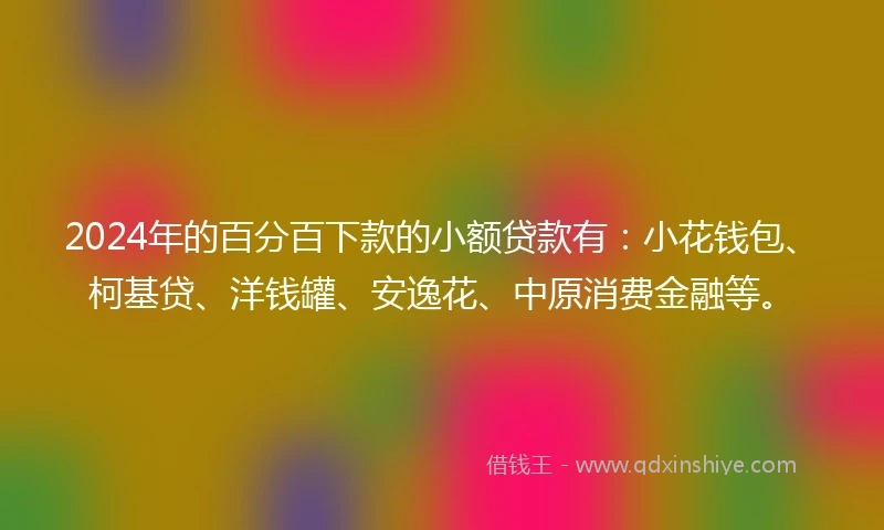 2024年的百分百下款的小额贷款有：小花钱包、柯基贷、洋钱罐、安逸花、中原消费金融等。