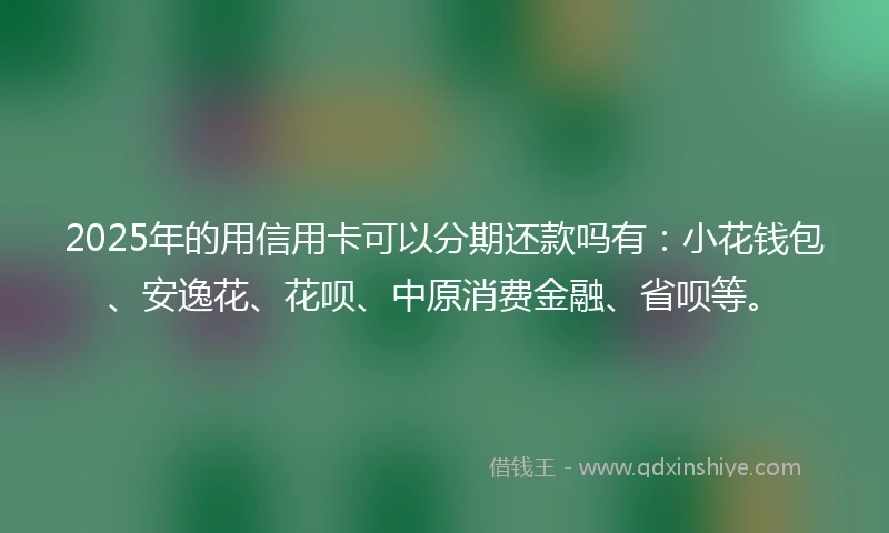 2025年的用信用卡可以分期还款吗有：小花钱包、安逸花、花呗、中原消费金融、省呗等。