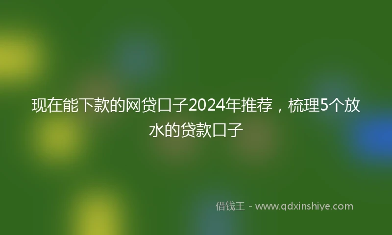 现在能下款的网贷口子2024年推荐，梳理5个放水的贷款口子