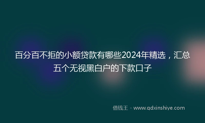 百分百不拒的小额贷款有哪些2024年精选，汇总五个无视黑白户的下款口子