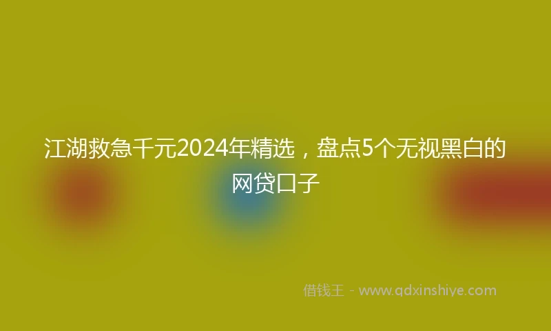 江湖救急千元2024年精选，盘点5个无视黑白的网贷口子