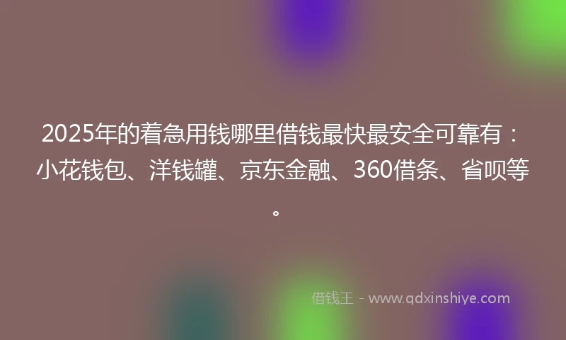 2025年的着急用钱哪里借钱最快最安全可靠有：小花钱包、洋钱罐、京东金融、360借条、省呗等。