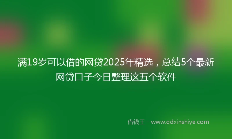 满19岁可以借的网贷2025年精选,总结5个最新网贷口子今日整理这五个软件