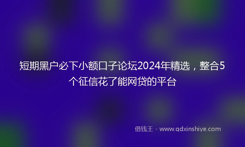 短期黑户必下小额口子论坛2024年精选，整合5个征信花了能网贷的平台