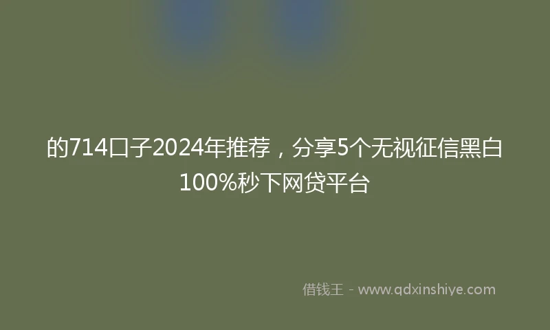 的714口子2024年推荐，分享5个无视征信黑白100%秒下网贷平台