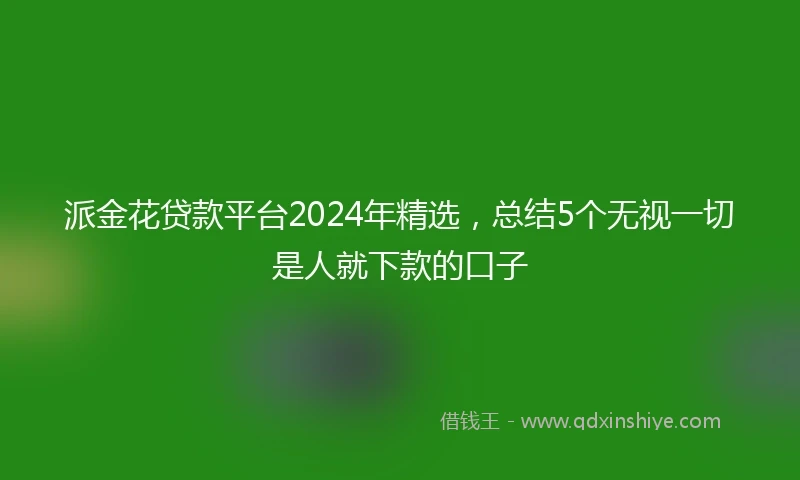 派金花贷款平台2024年精选，总结5个无视一切是人就下款的口子