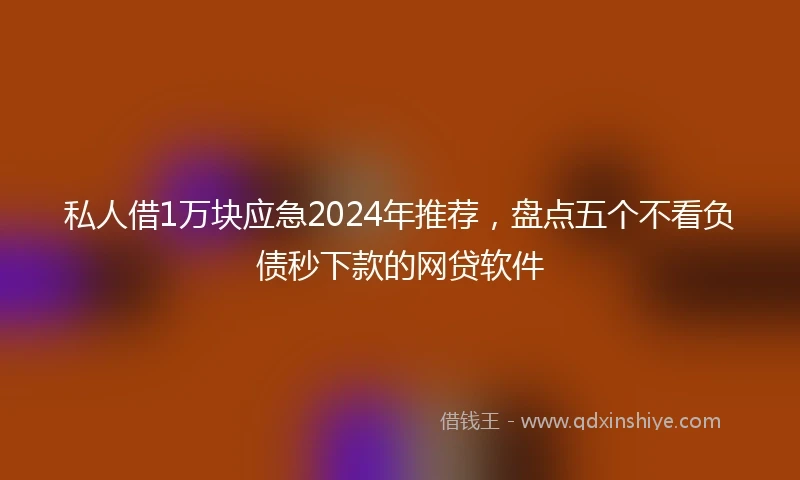 私人借1万块应急2024年推荐，盘点五个不看负债秒下款的网贷软件
