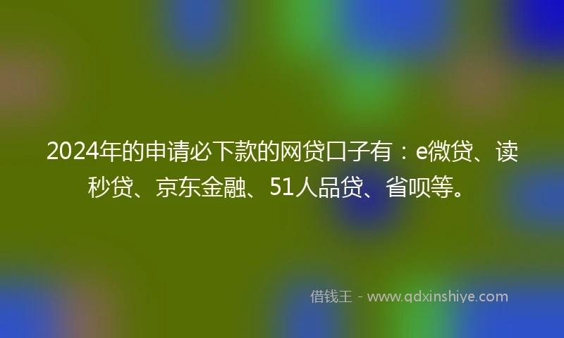 2024年的申请必下款的网贷口子有：e微贷、读秒贷、京东金融、51人品贷、省呗等。