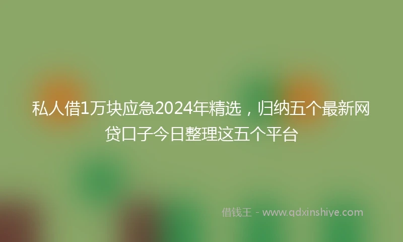 私人借1万块应急2024年精选，归纳五个最新网贷口子今日整理这五个平台