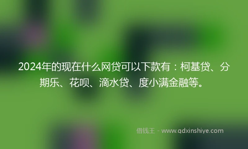 2024年的现在什么网贷可以下款有：柯基贷、分期乐、花呗、滴水贷、度小满金融等。