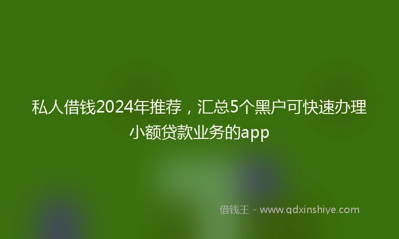 私人借钱2024年推荐，汇总5个黑户可快速办理小额贷款业务的app