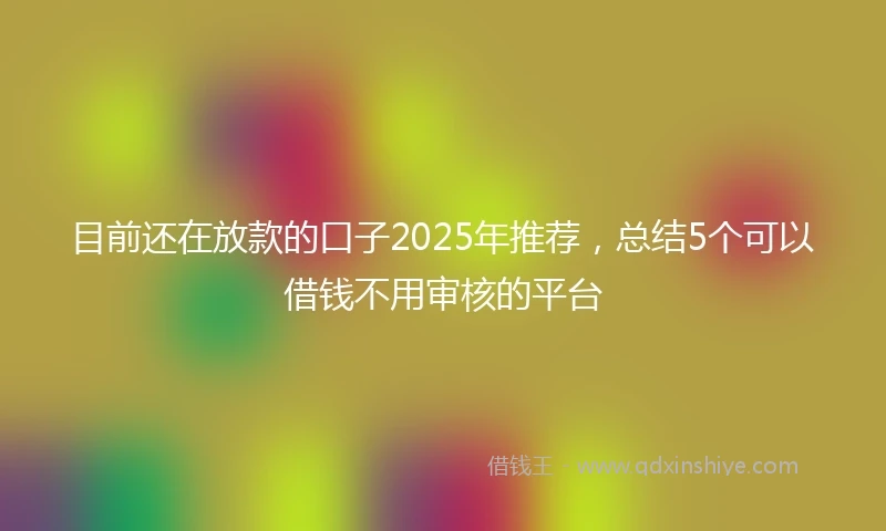 目前还在放款的口子2025年推荐，总结5个可以借钱不用审核的平台